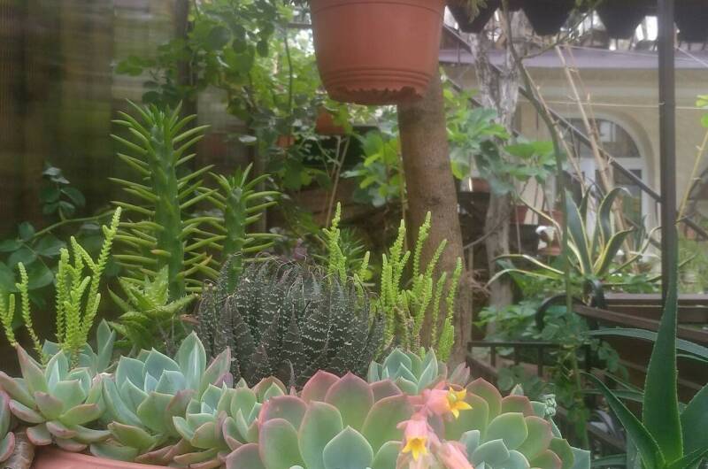 Гостевой дом «У Марины»