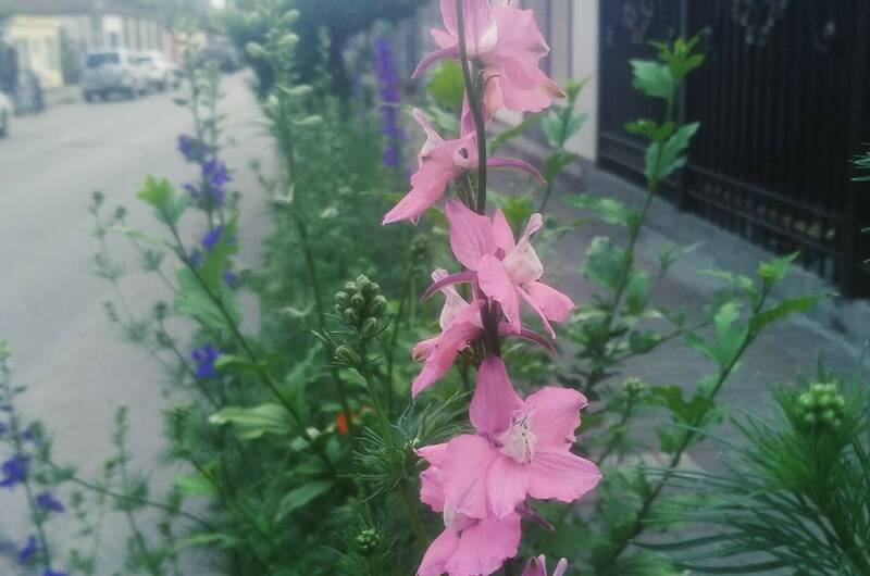 Гостевой дом «У Марины»