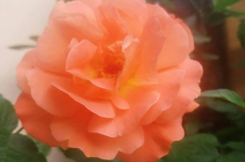 Гостевой дом «У Марины»