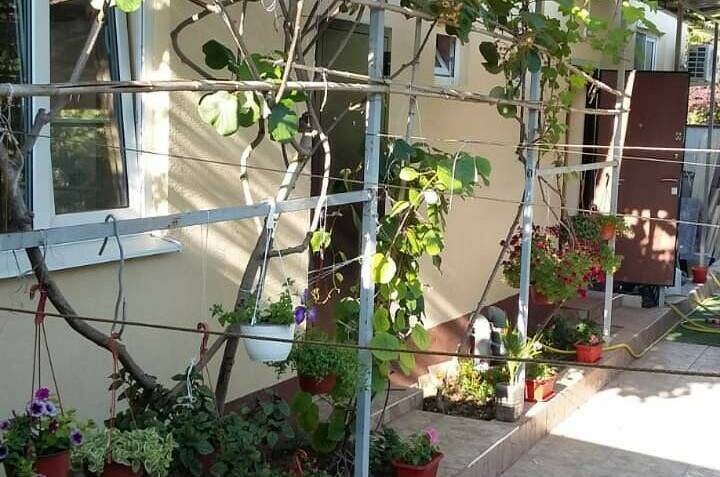 Частный сектор «У Георгия»