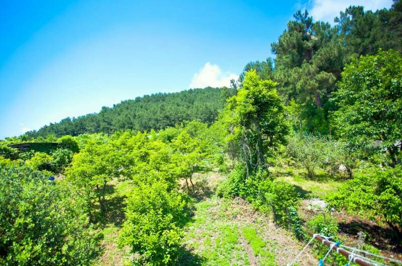 Гостевой дом «Меридиан»