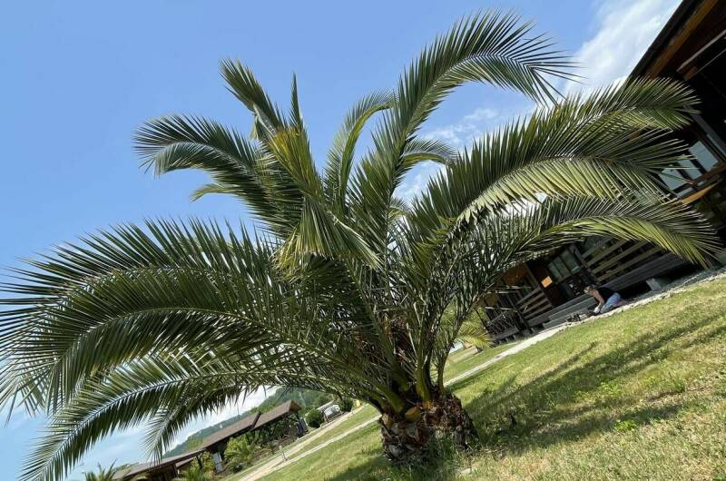 Отель «Тихая Лагуна»