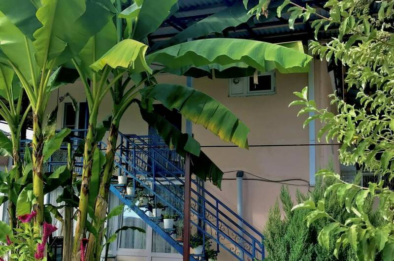 Гостевой дом «Оазис»