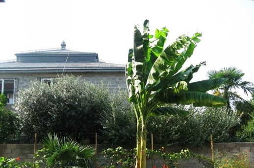 Гостевой дом «Элина»