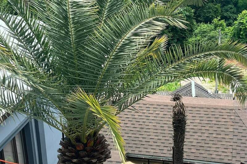 Гостевой дом «Эмида»