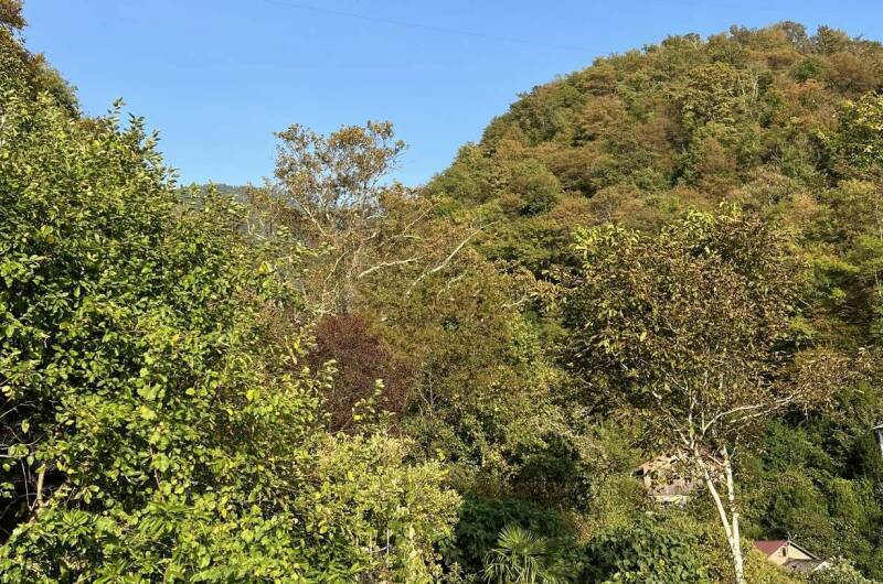 Гостевой дом «Эмида»