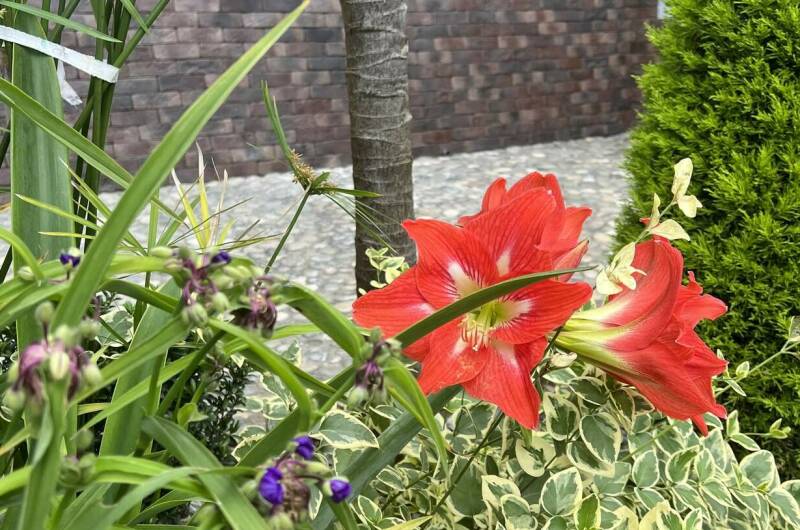 Гостевой дом «Эмида»