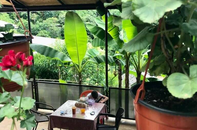 Гостевой дом «Эмида»