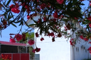 Гостевой дом «У Руслана и Джульетты»