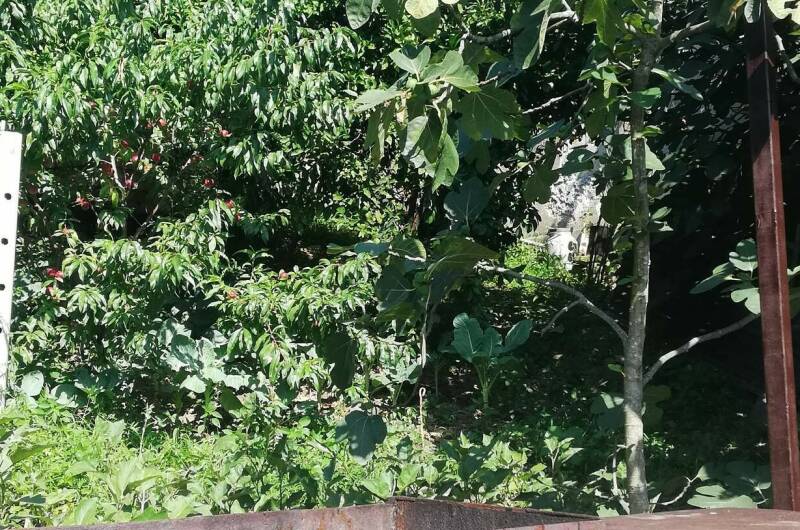 Частный сектор «В гостях у тети Аси»