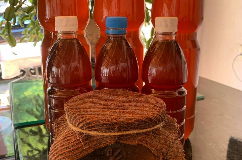 Гостевой дом «Пицунда»