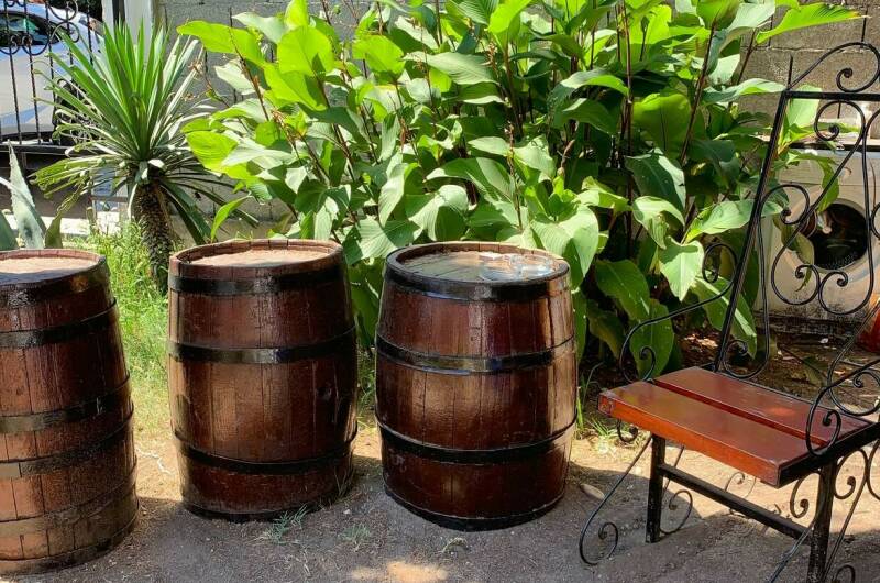 Гостевой дом «Пицунда»