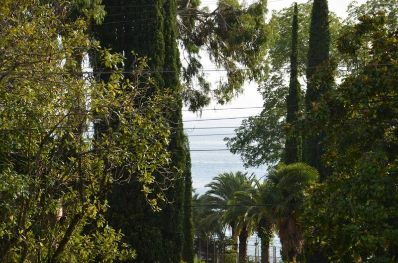 Отель «Афалина»