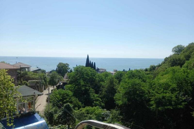 В гостях у бабушки Сильвы