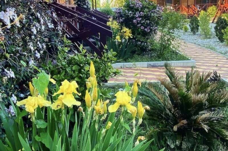 Гостевые домики «MiMi»