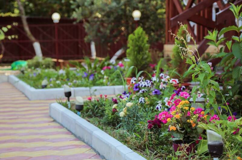 Гостевые домики «MiMi»