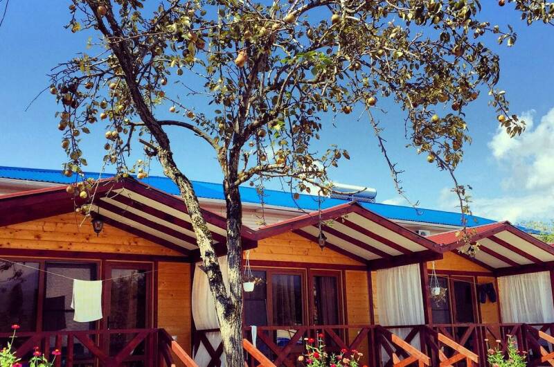 Гостевые домики «MiMi»