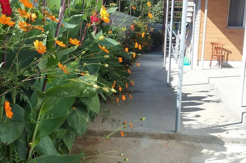 Гостевой дом «Елена»