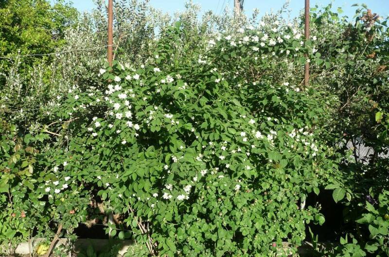 Гостевой дом «Мария»