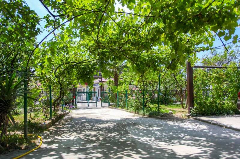 Гостевой дом «Зеленый дворик»