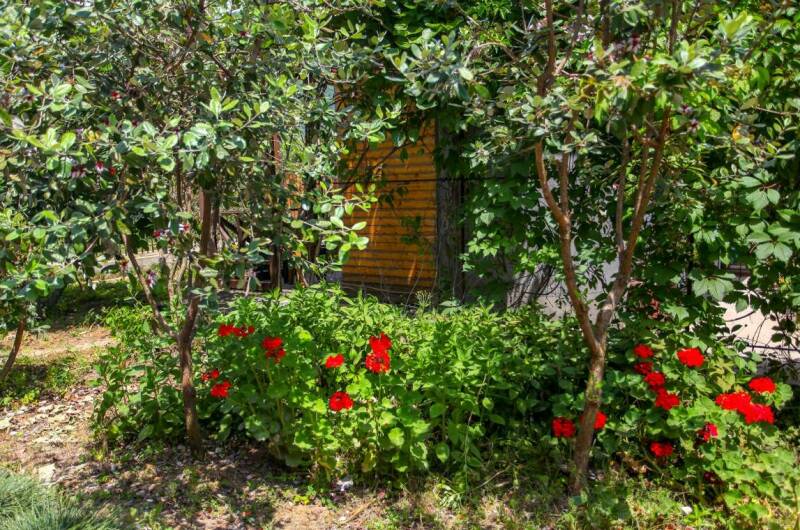 Гостевой дом «Зеленый дворик»