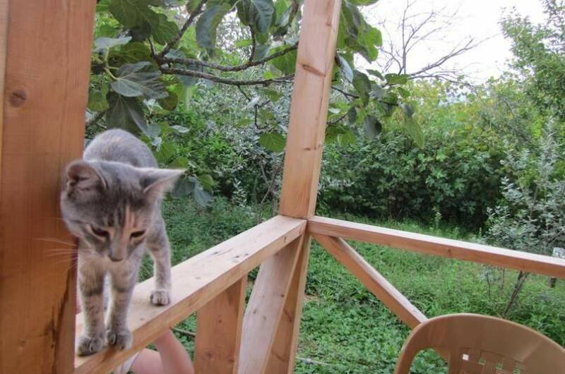 Гостевой дом «Зеленый дворик»