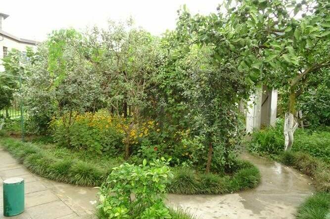 Гостевой дом «Зеленый дворик»