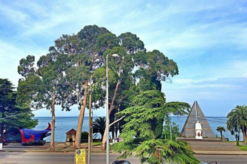 Гостевой дом на Колхидской