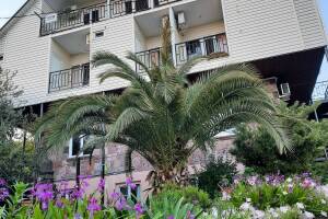 Изображение Гостевой дом «Флора» #1