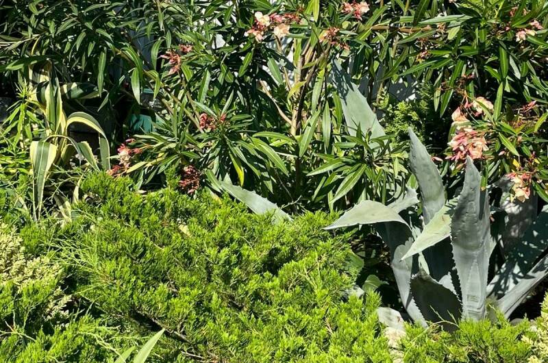 Гостевой дом «Флора»