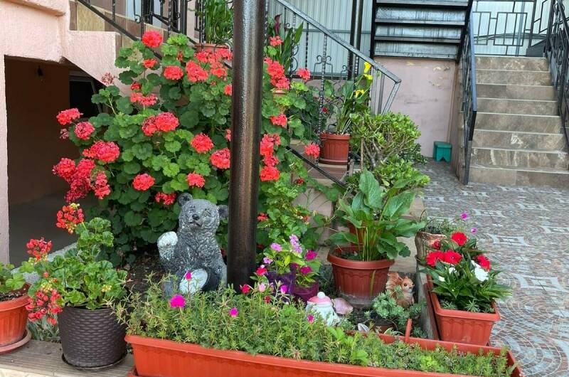 Гостевой дом «Флора»