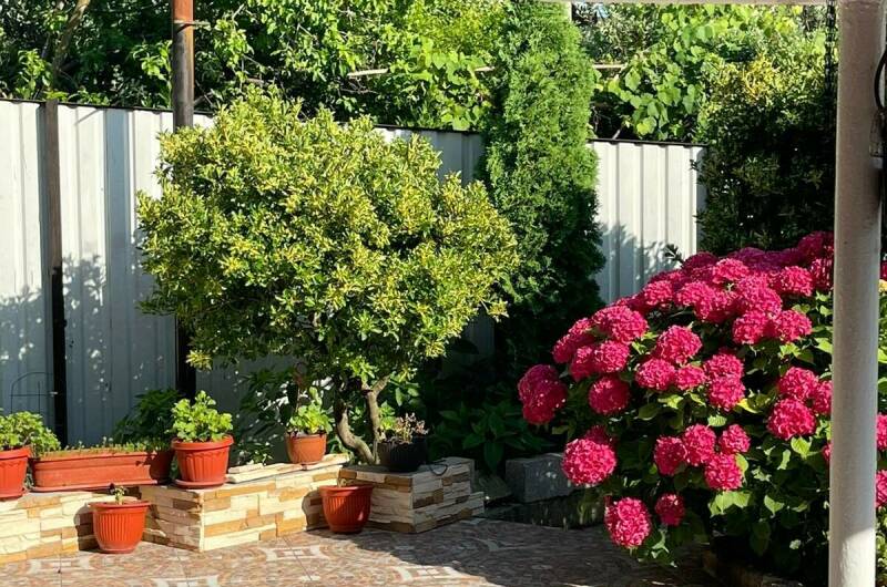 Гостевой дом «Флора»