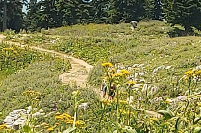 Частный сектор «Ольгинка»