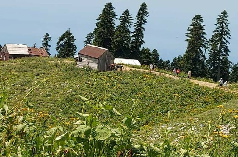 Частный сектор «Ольгинка»