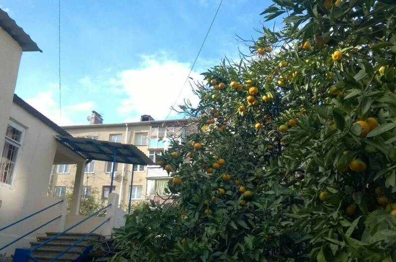 Гостевой дом «у Саркиса»