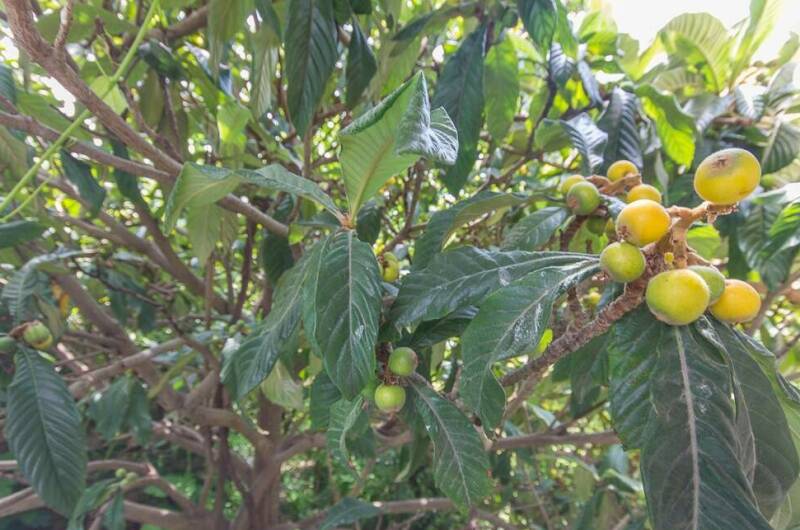 Гостевой дом «у Саркиса»