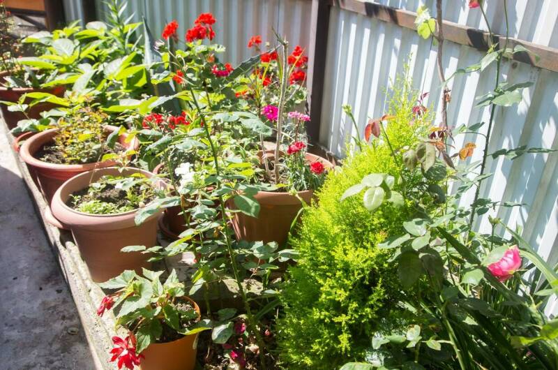 Гостевой дом «Валерий»