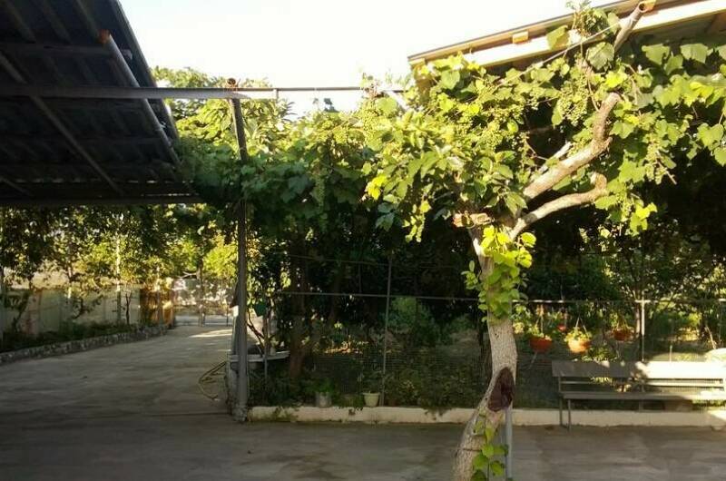 Гостевой дом «У Норика и Сусанны»