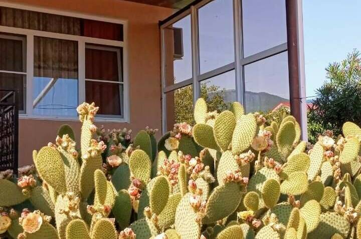 Гостевой дом «Отдых у Марины»