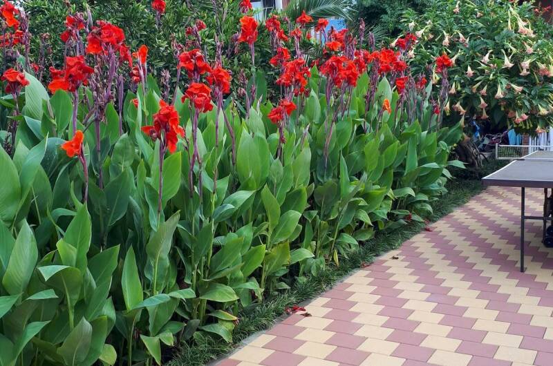 Гостевой дом «Отдых у Марины»