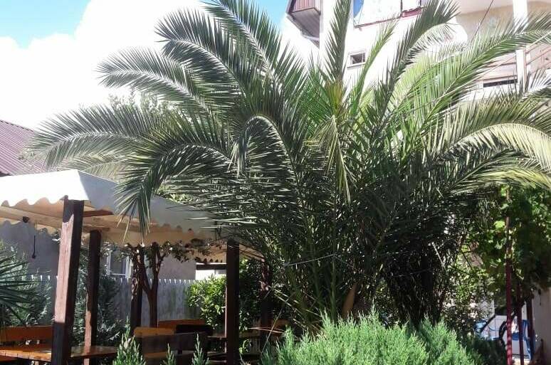 Гостевой дом «У Руслана»