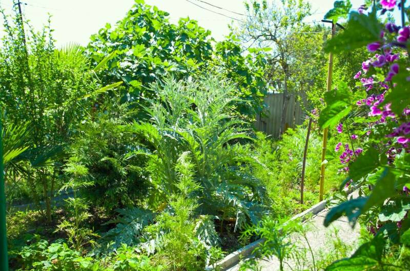 Частный сектор «Милана»