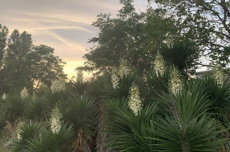 Частный дом «Елена» 25 метров до моря