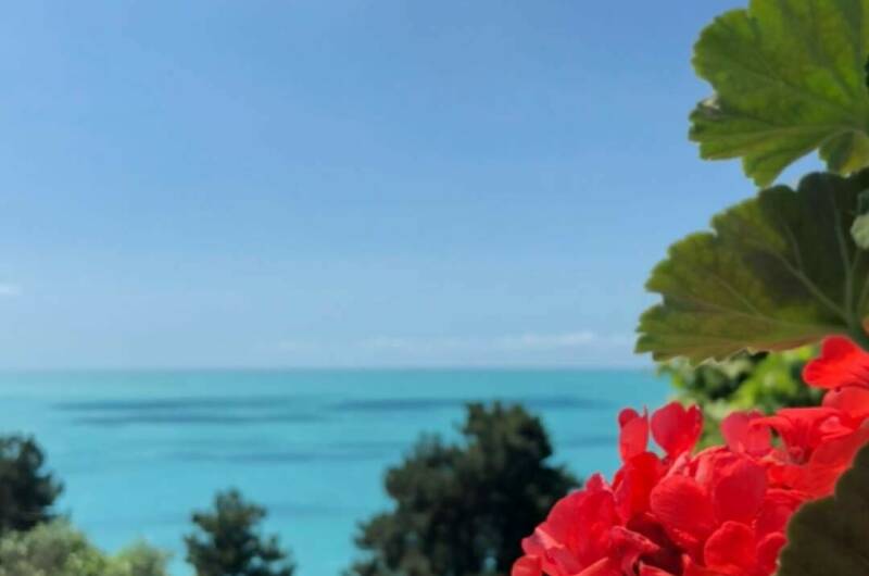 Гостевой дом «Relax»