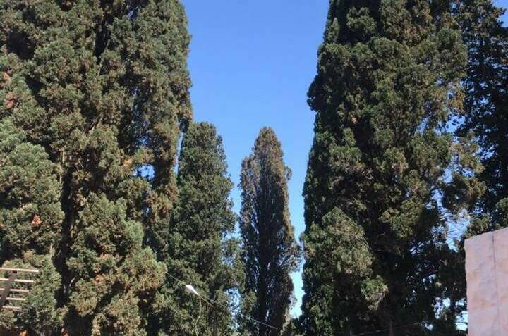 Отель «Анна»