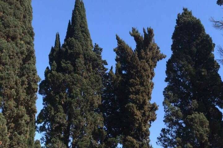 Отель «Анна»