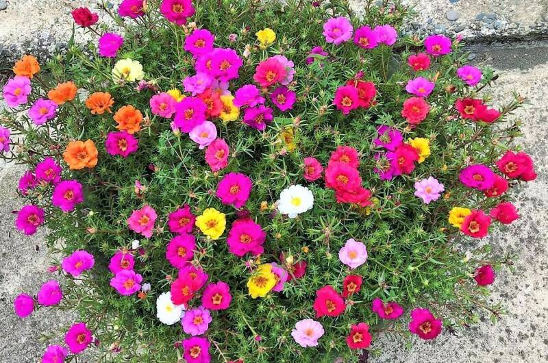 Гостевой дом «Жанна»