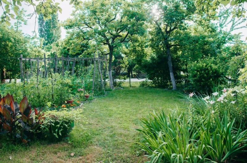 Частный дом «Grozde»