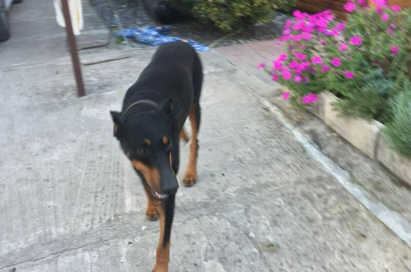 Частный сектор «У Нины»