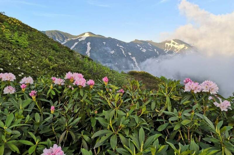 Частный сектор «У Нины»